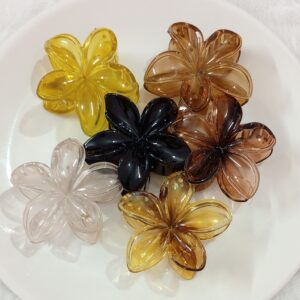 Transparent Flower Hair Claw Clip Set for Women & Girls – 6 Pcs Multicolor